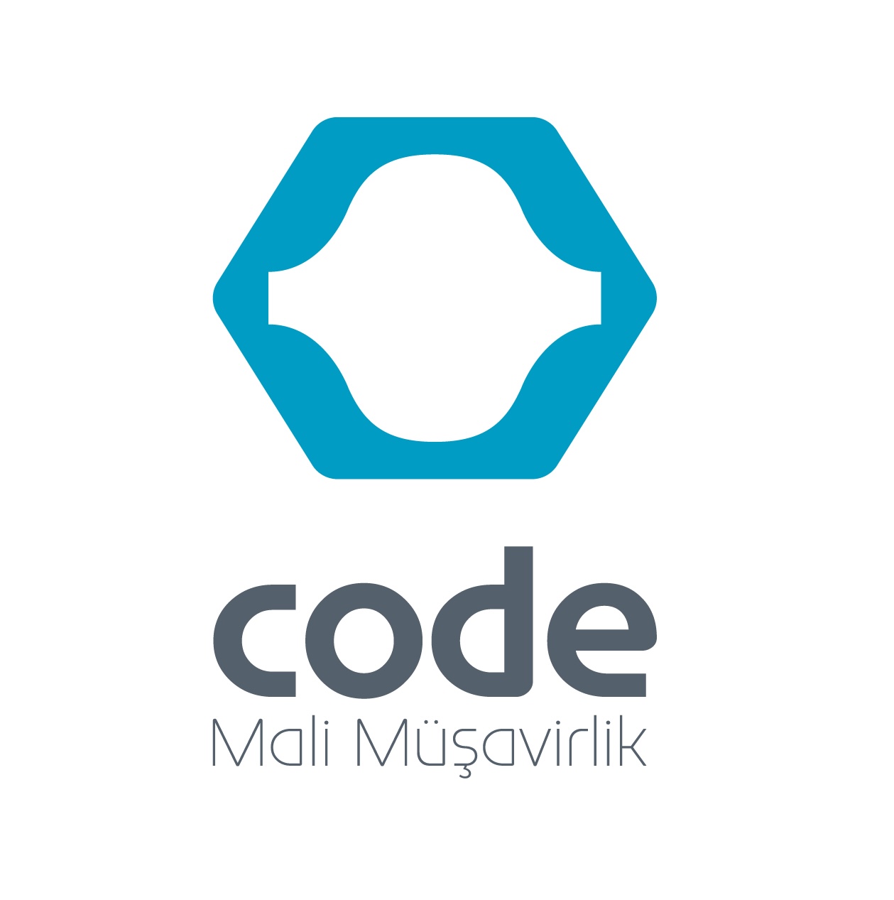 Code Mali Müşavirlik